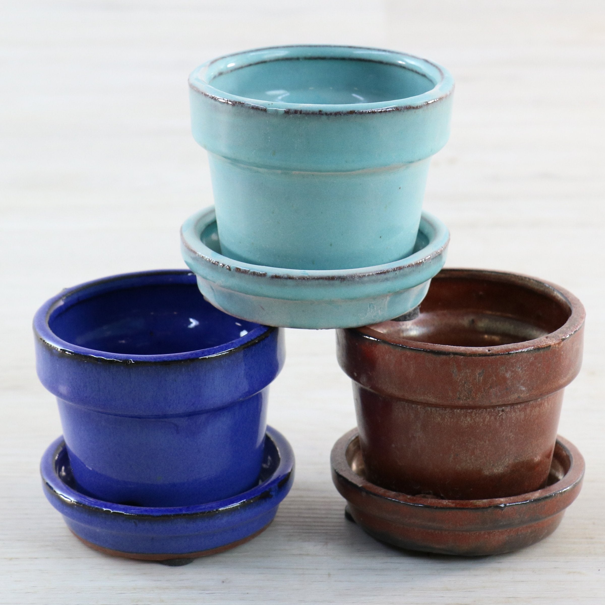 Cottage Farms Direct