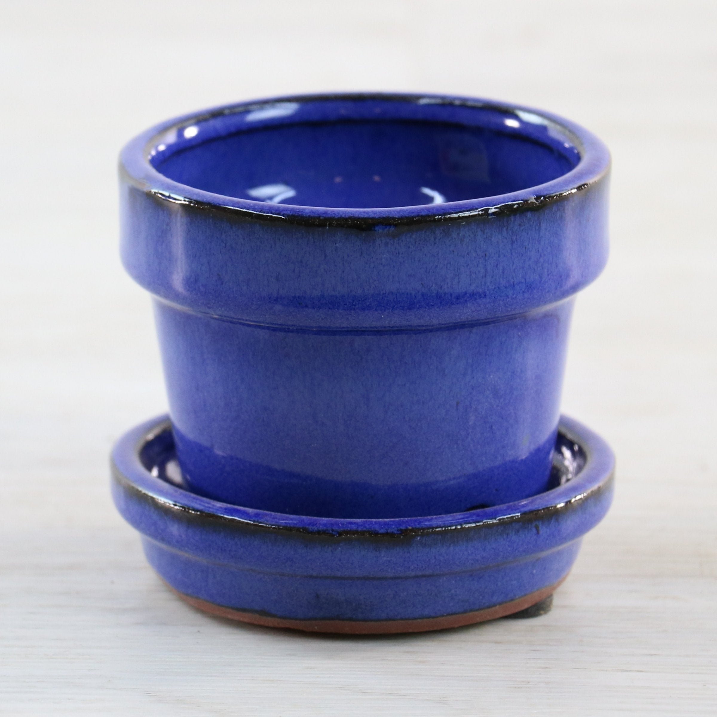 3 Piece Set - Glazed and Ready, 4" Glazed Ceramic Pots
