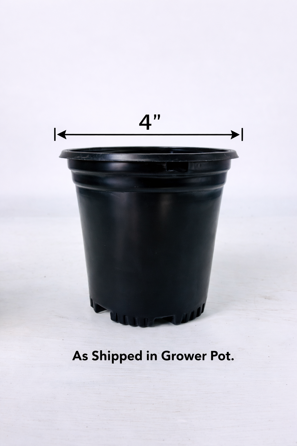 3 Piece Mint Medley - 4" Pot, SPRING PREORDER