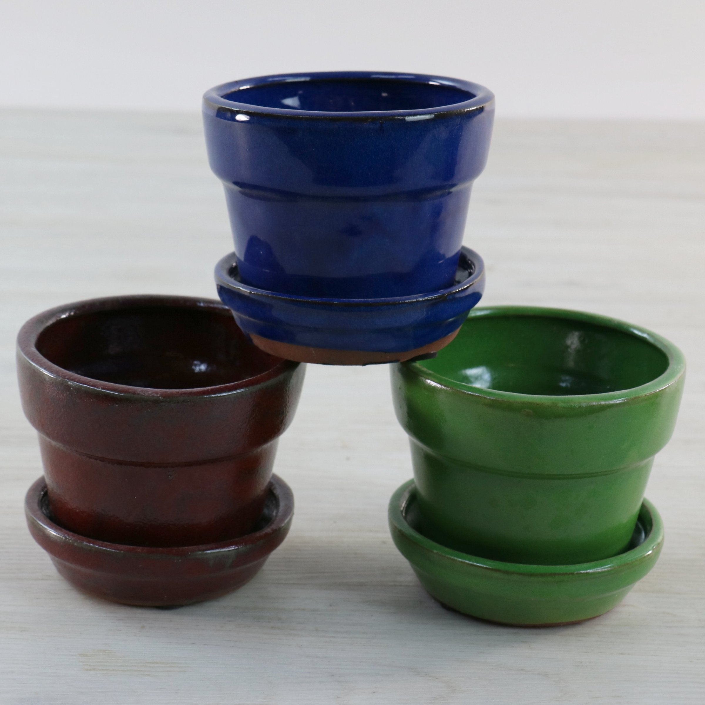 Cottage Farms Direct