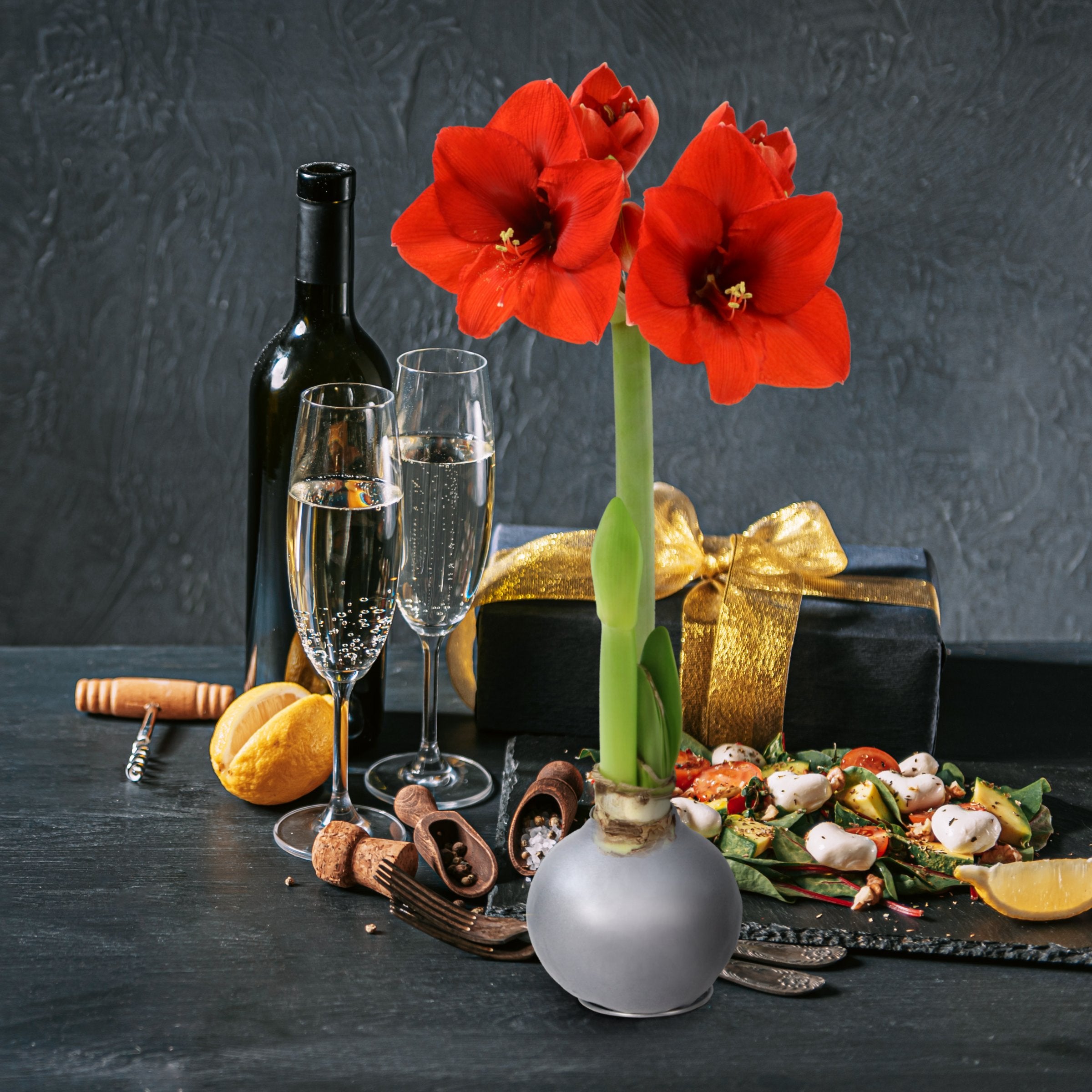 Silver Amaryllis Bulb