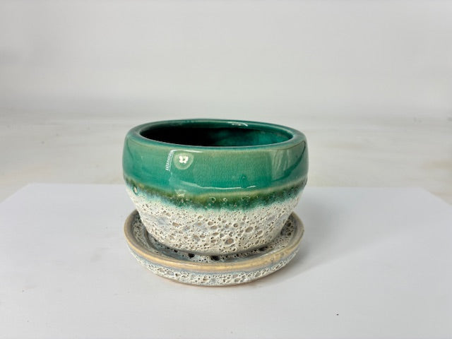 Cottage Farms Direct