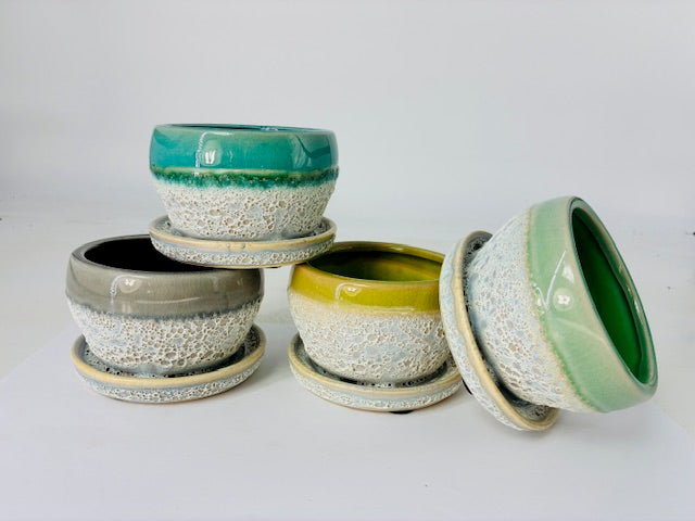 Cottage Farms Direct