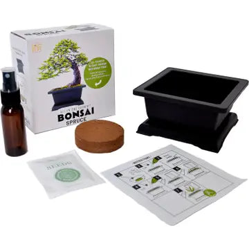 Bonsai Tree Grow Kit - 4 oz