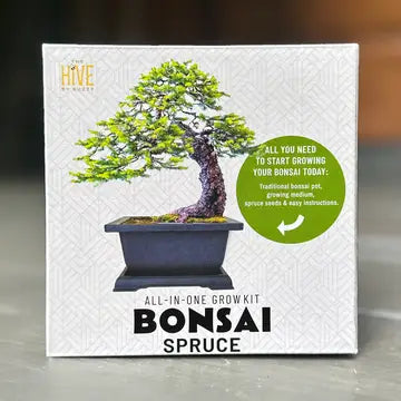 Bonsai Tree Grow Kit - 4 oz