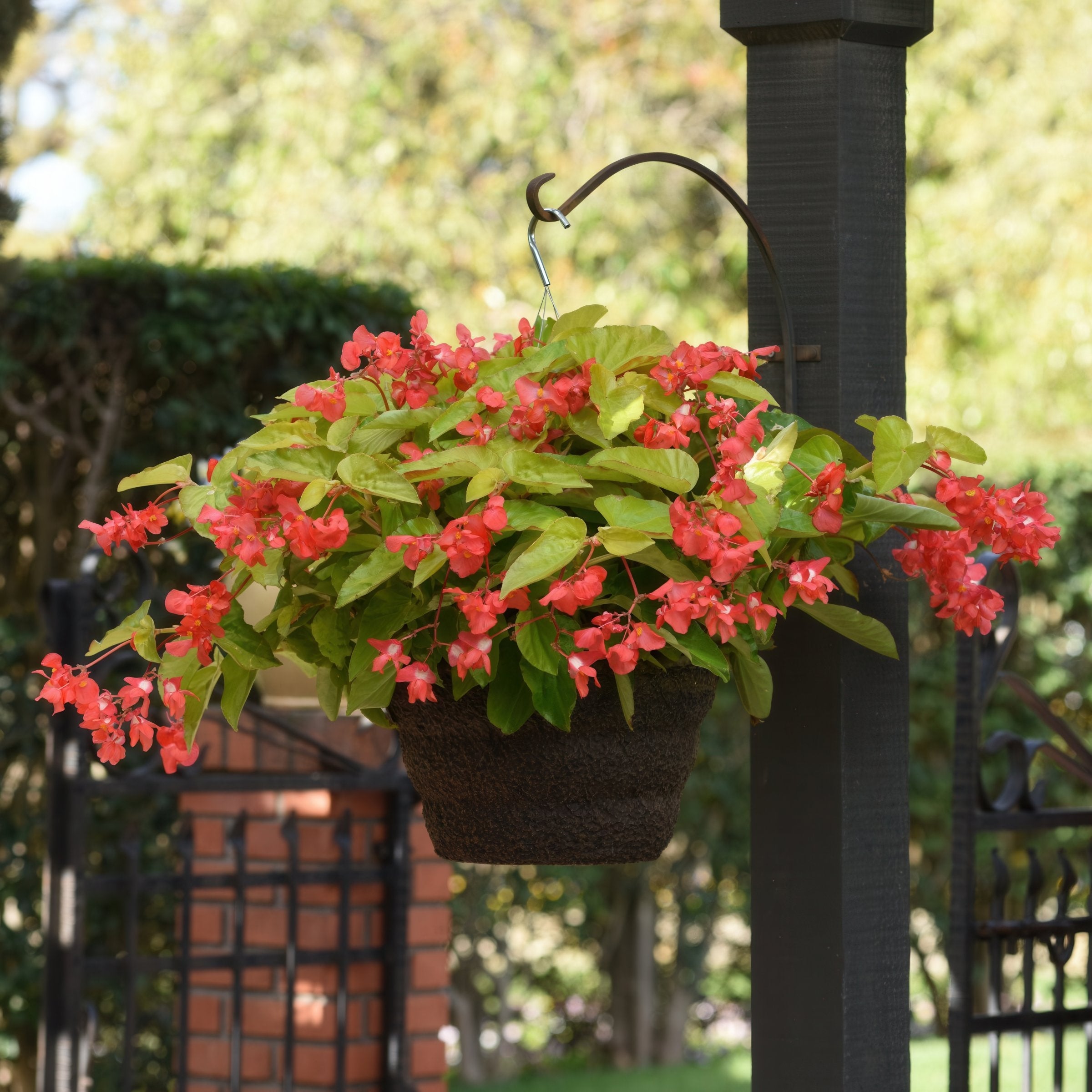 Cottage Farms Direct