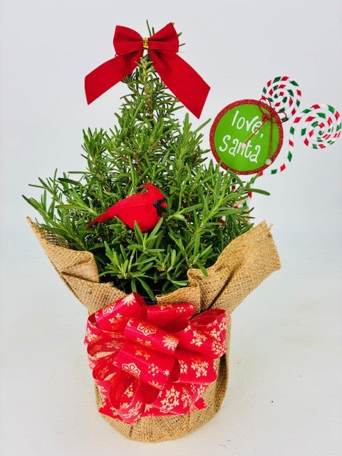 Cottage Farms Direct