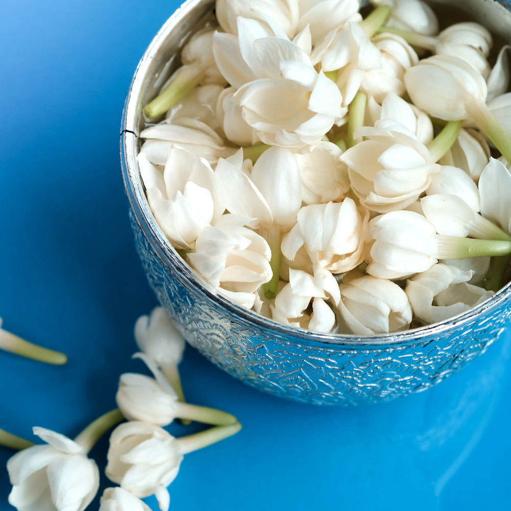 Jasminium 'Sambac Jasmine' - 1 Gallon Pot – Cottage Farms
