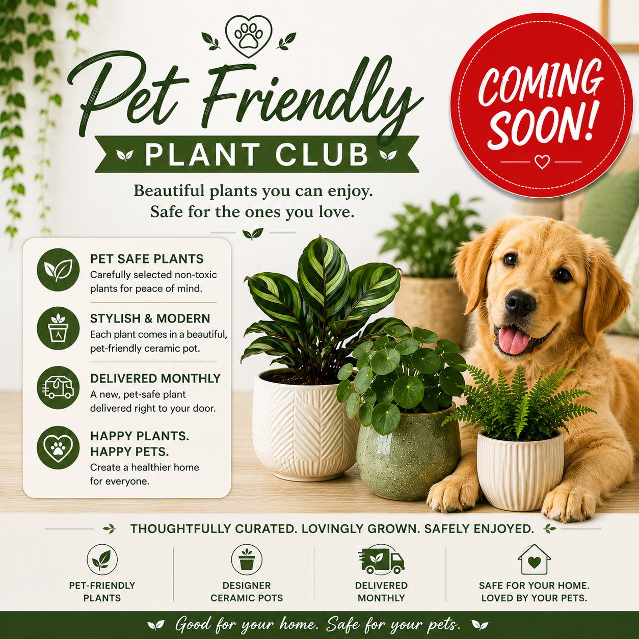 Pet Friendly Plant Club - COMING SOON!