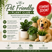 Pet Friendly Plant Club - COMING SOON!