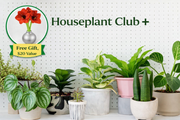 Houseplant Club PLUS - Delivered Monthly, FREE Shipping!