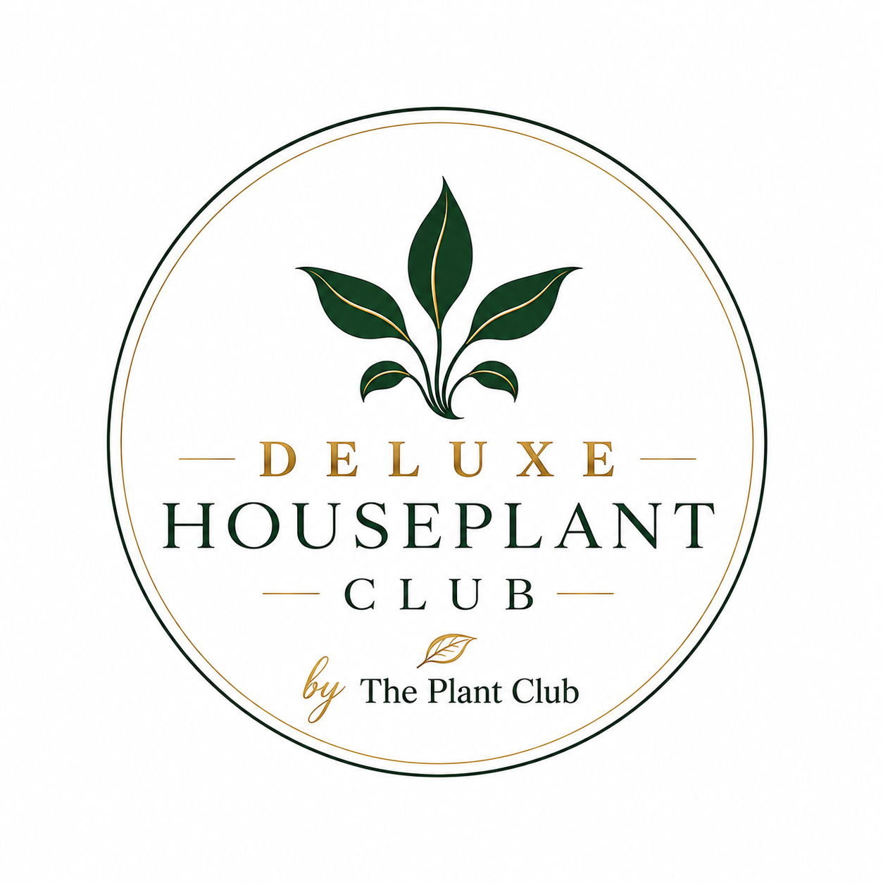 Deluxe Houseplant Club - Delivered Monthly, FREE Shipping!