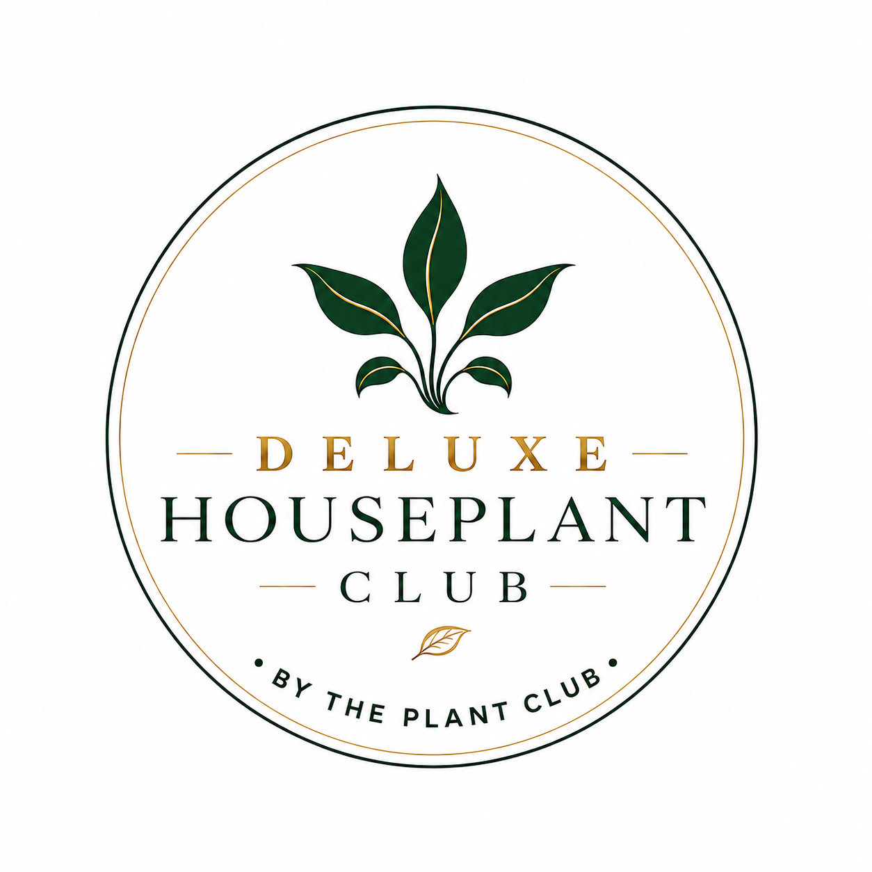 Deluxe Houseplant Club, Plant + Elevated Pot - Delivered Monthly, FREE Shipping!