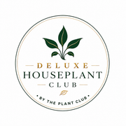 Deluxe Houseplant Club, Plant + Elevated Pot - Delivered Monthly, FREE Shipping!