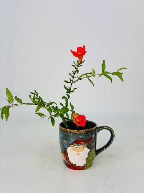 Cottage Farms Direct