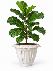 6 Piece - Speckled Stone White Greek Key Planter, 9” x 7” (NOVEMBER PICK UP SALE)