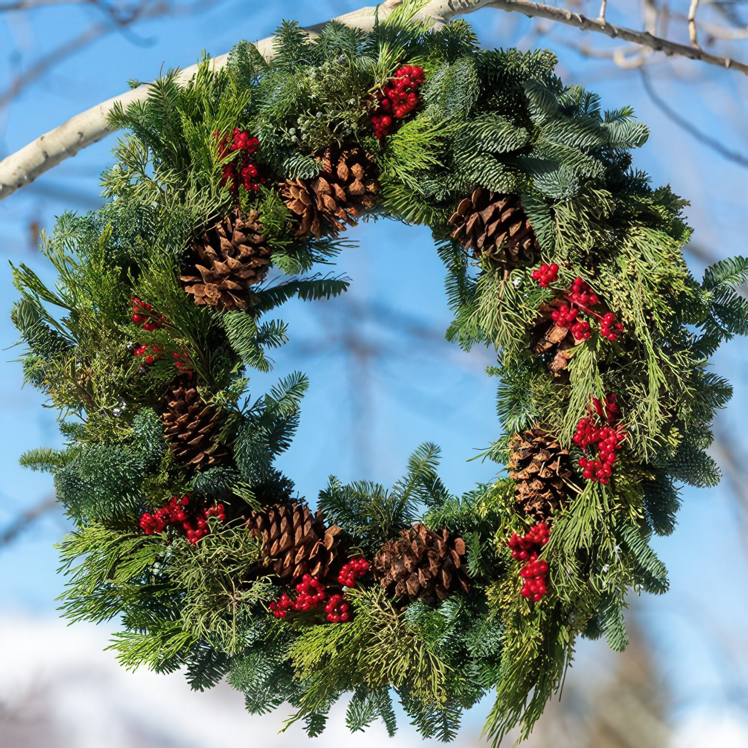 Cottage Farms Direct