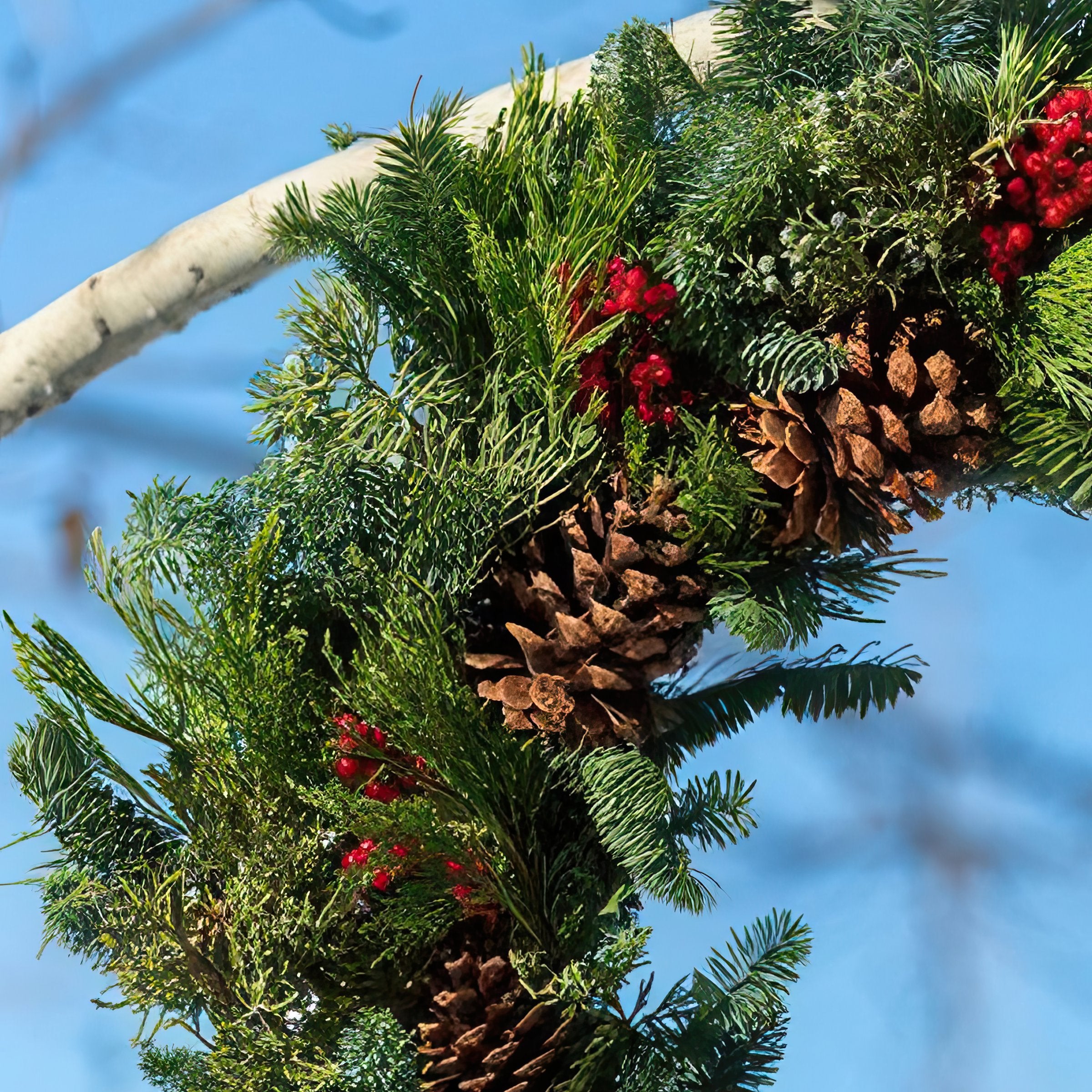 Cottage Farms Direct