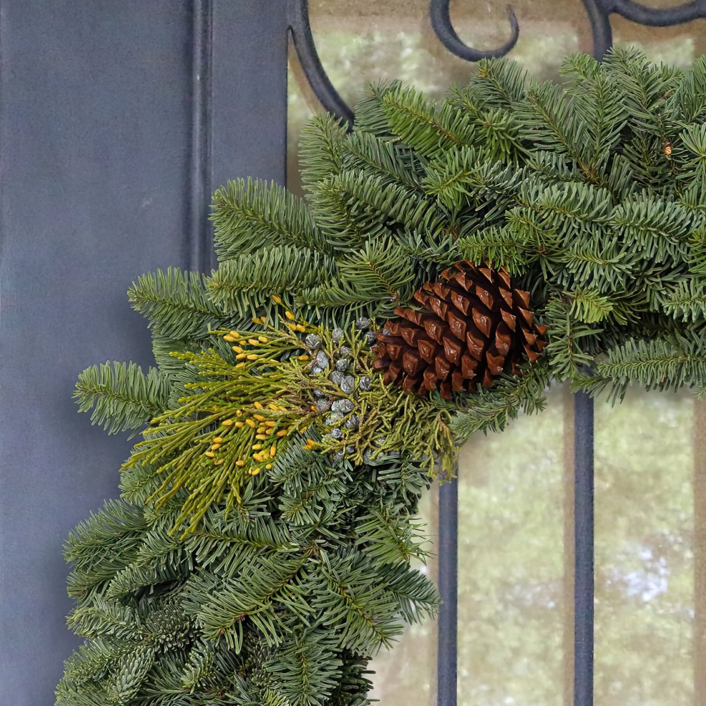 Cottage Farms Direct