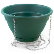 12" Hunter Green Caribbean Hanging Basket