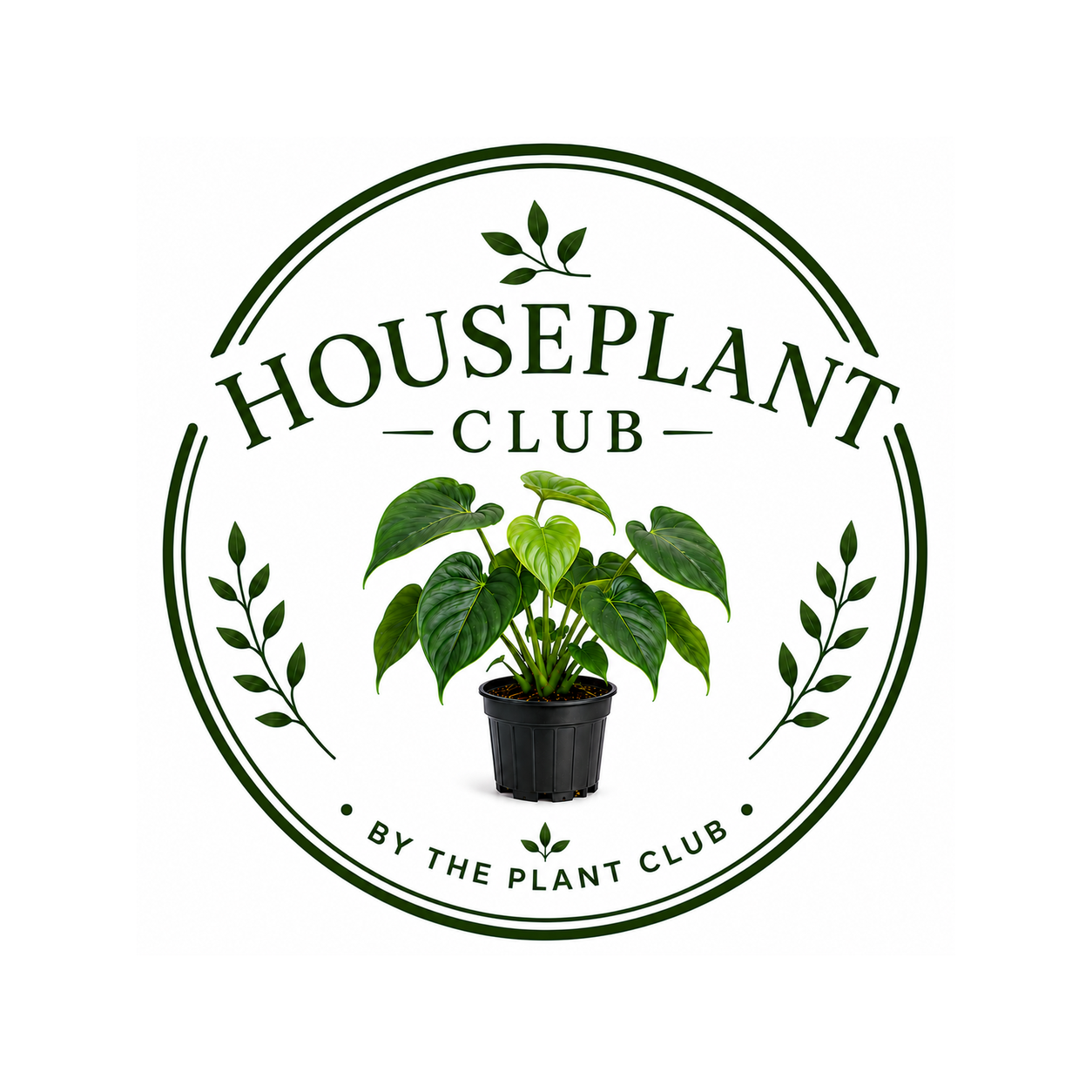 Houseplant Club - Delivered Monthly,  FREE SHIPPING!