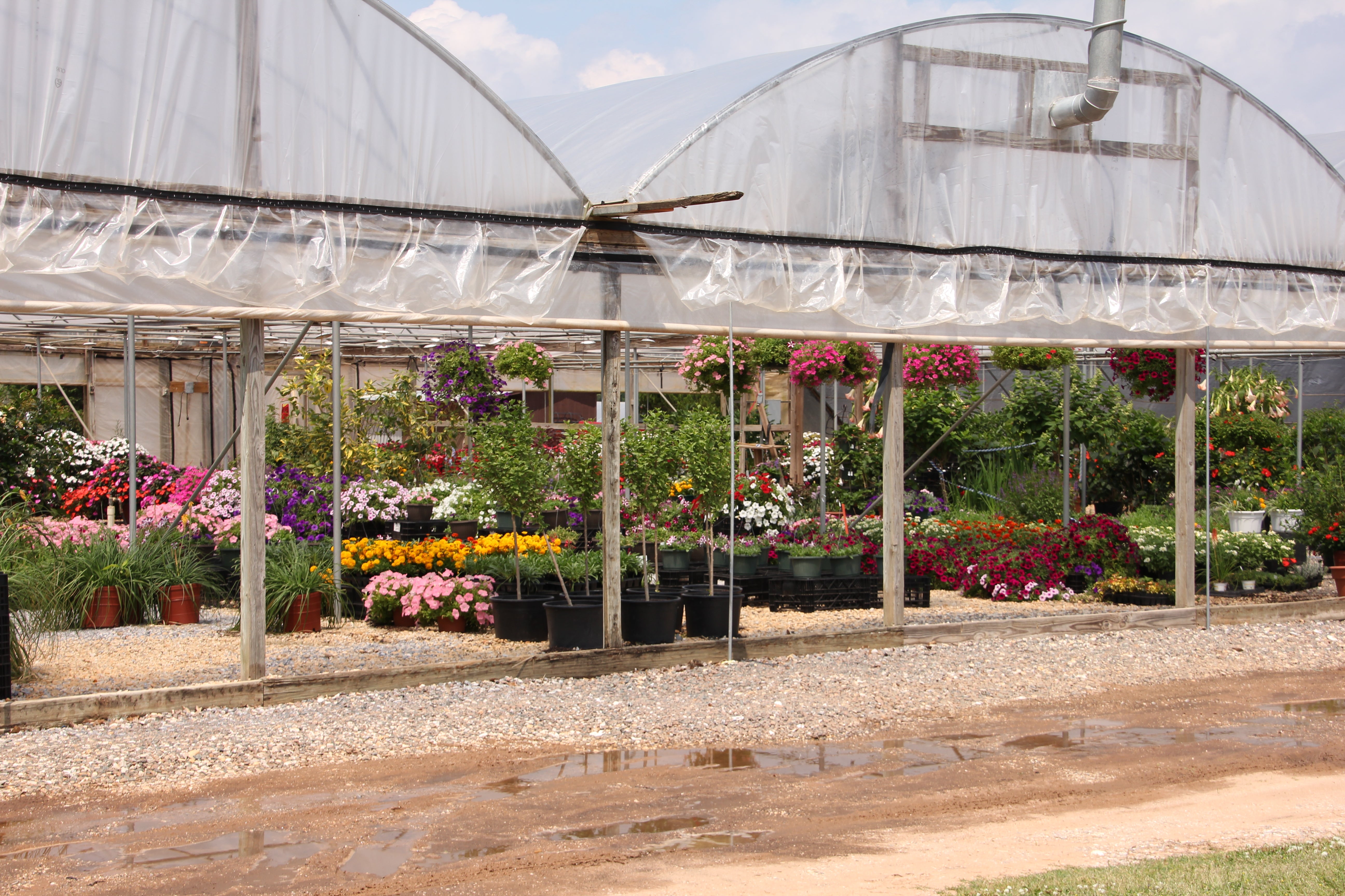 Cottage Farms Direct