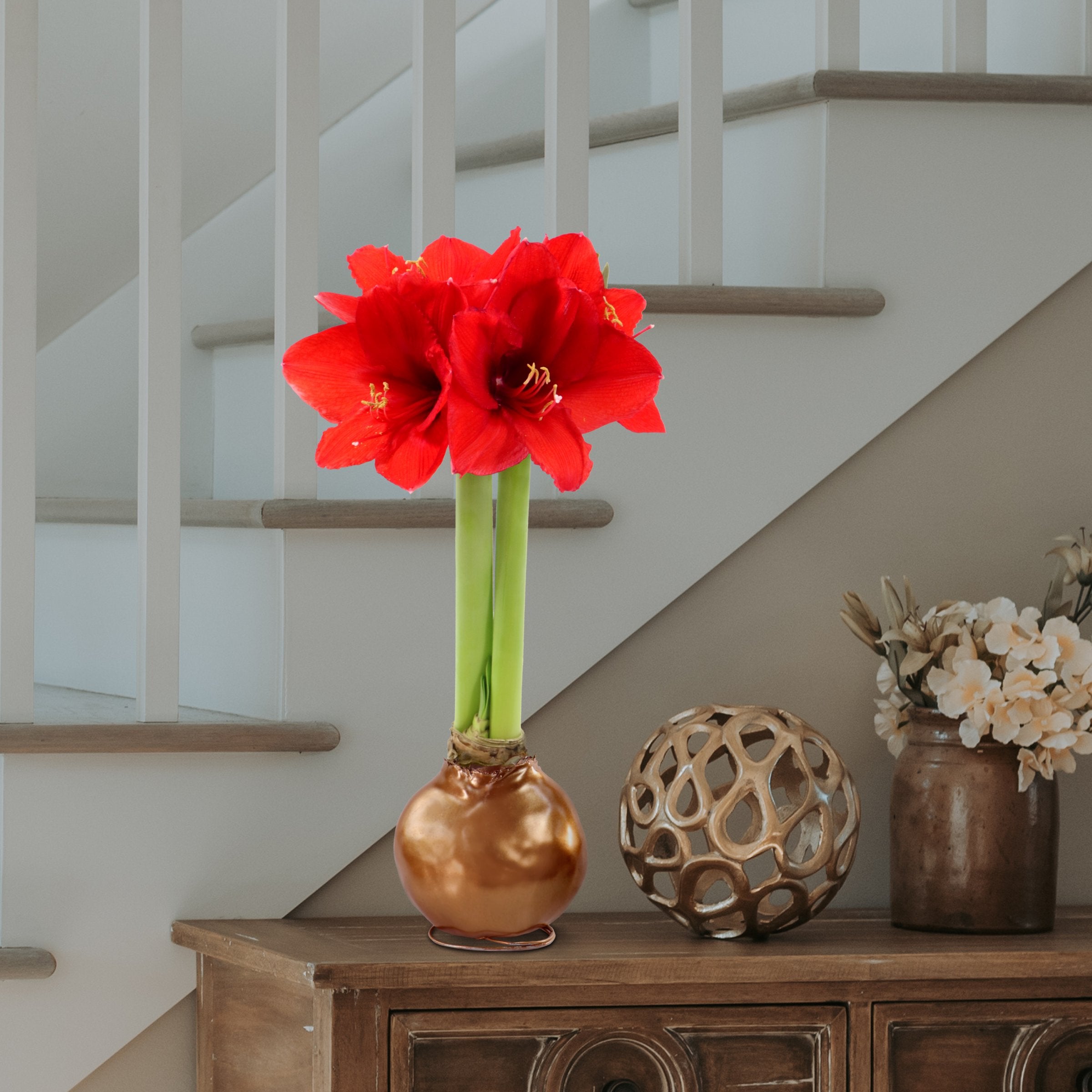 Cottage Farms Direct