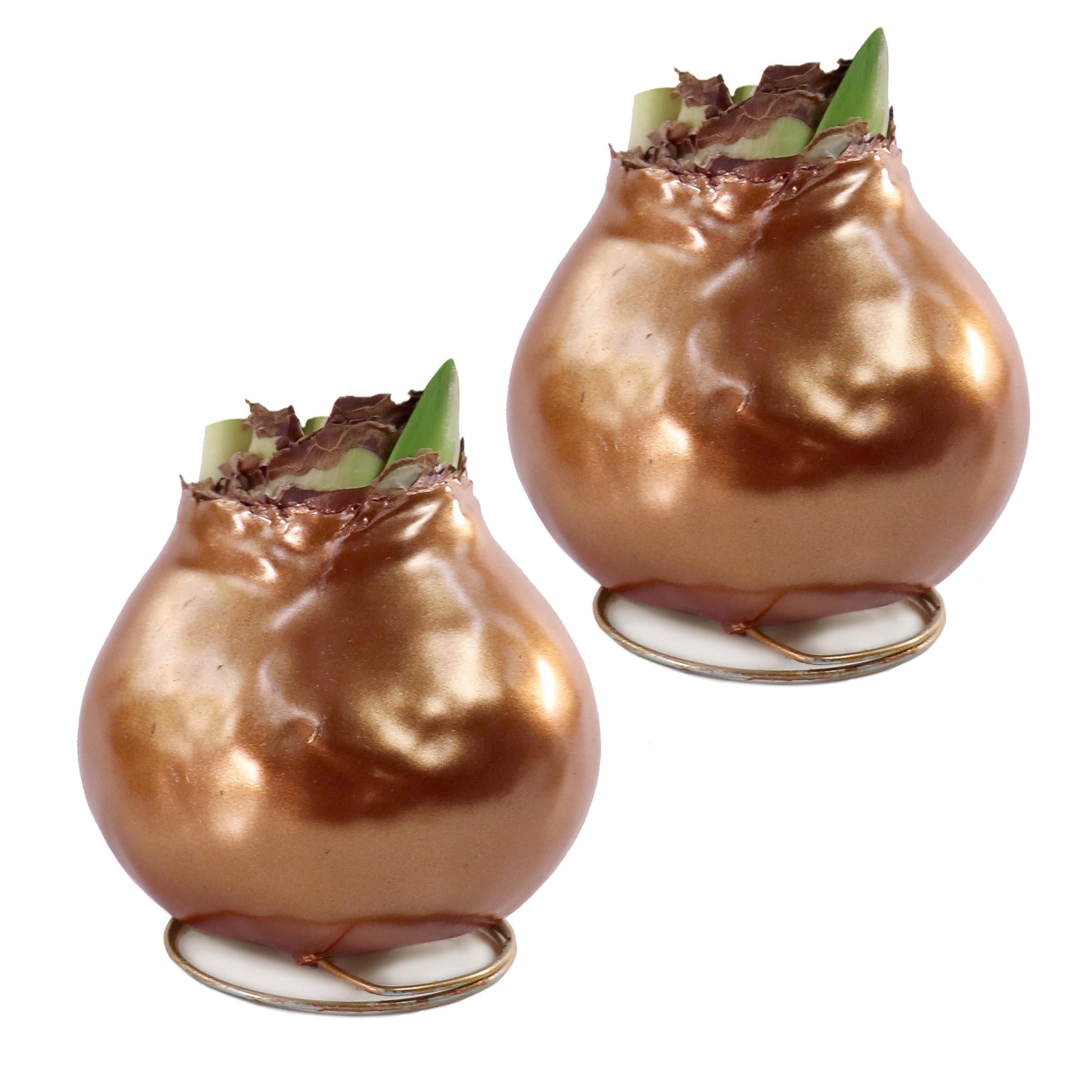 Cottage Farms Direct