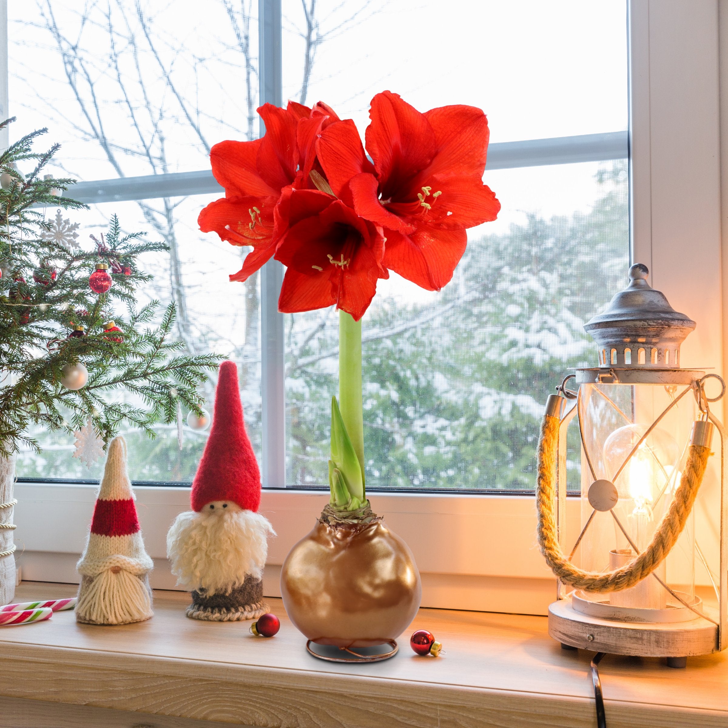 Cottage Farms Direct