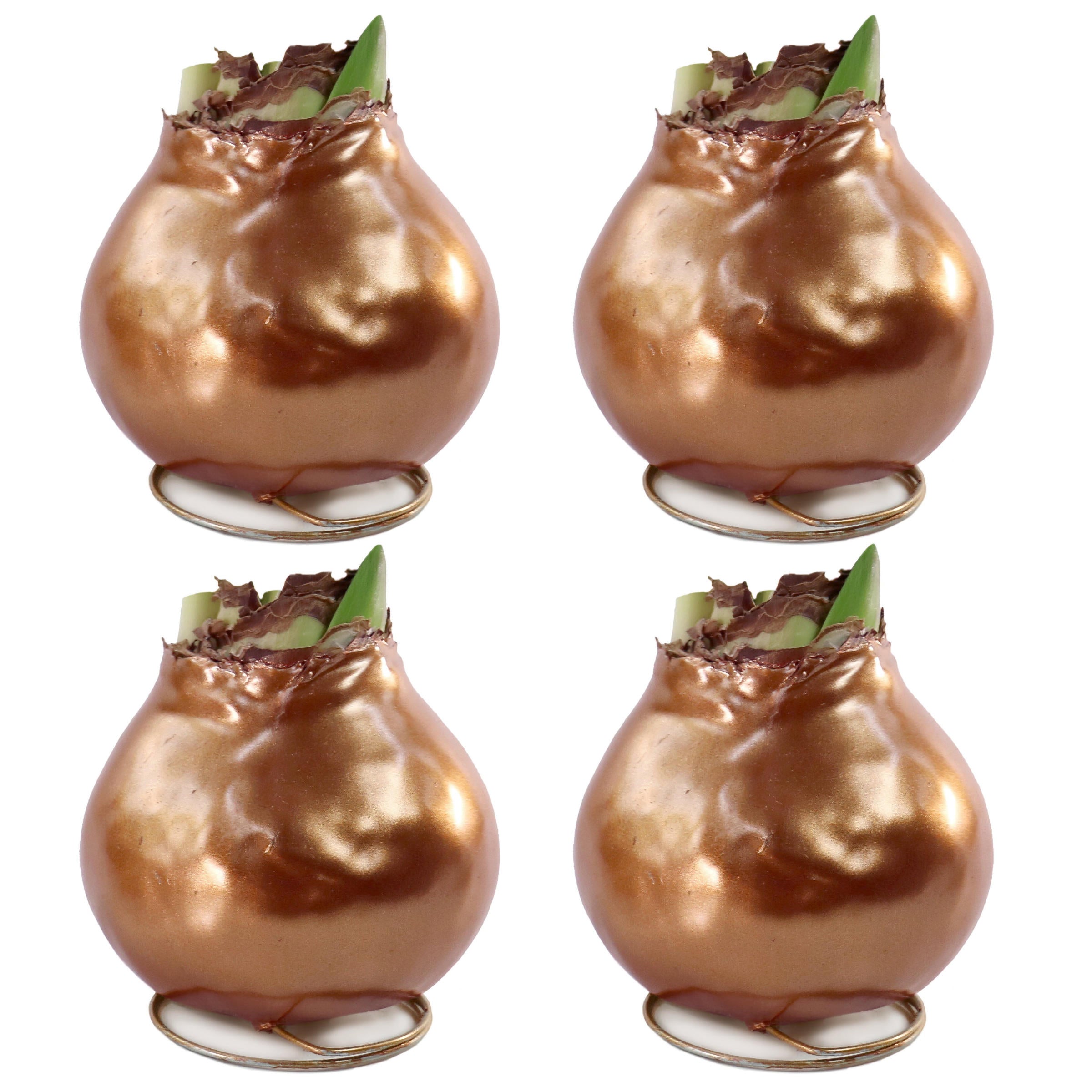 Cottage Farms Direct