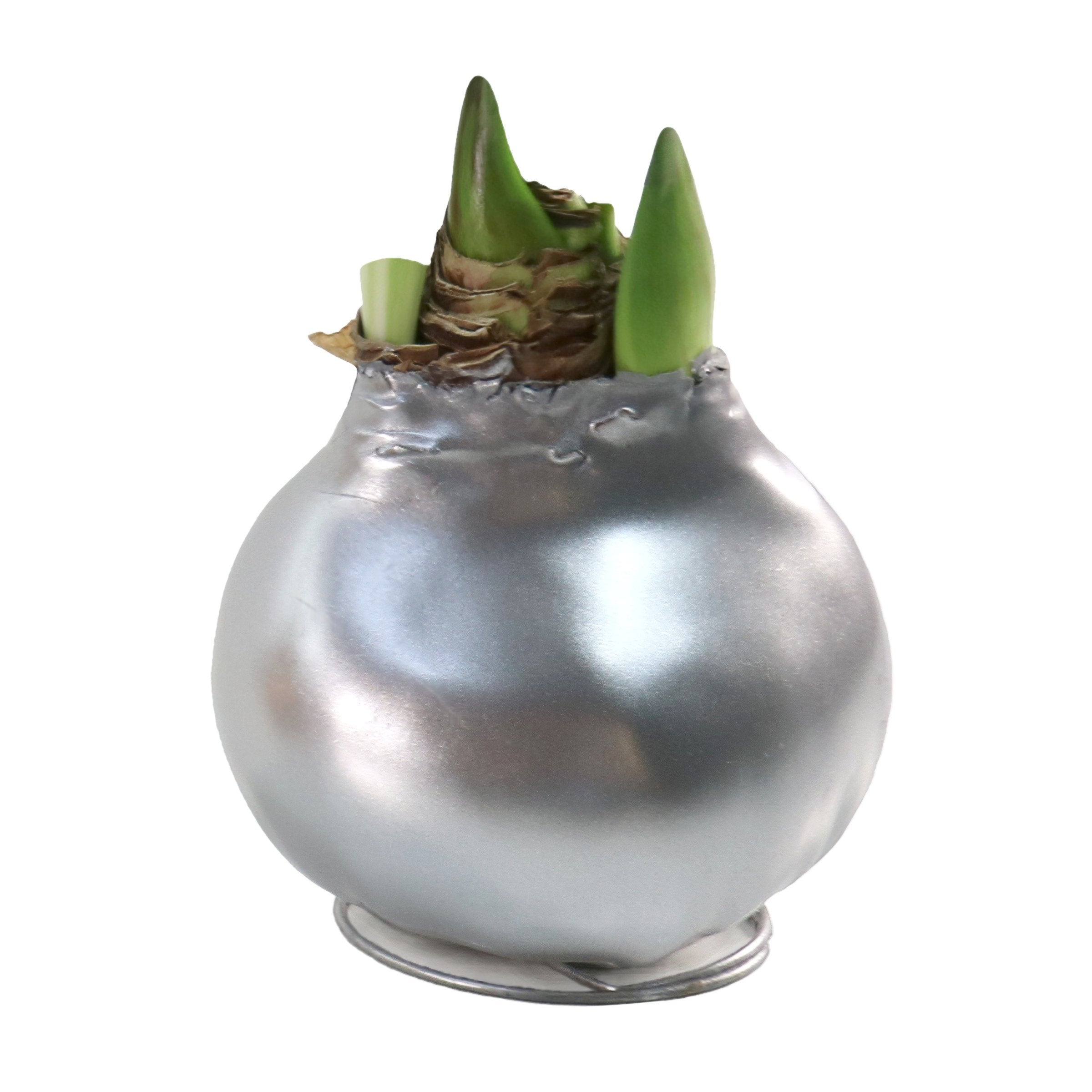 Cottage Farms Direct