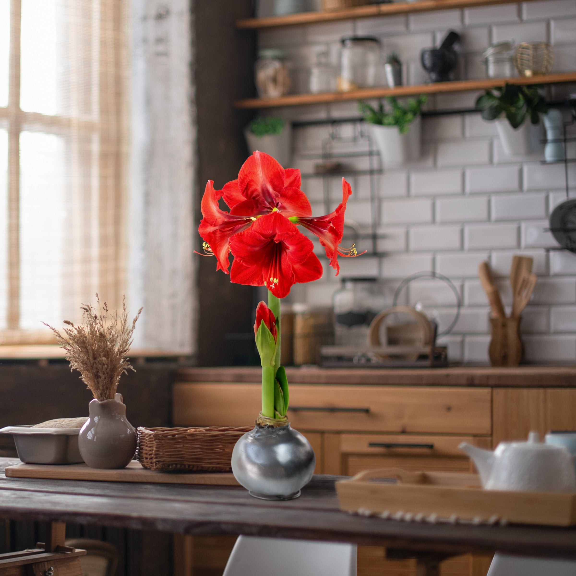 Cottage Farms Direct