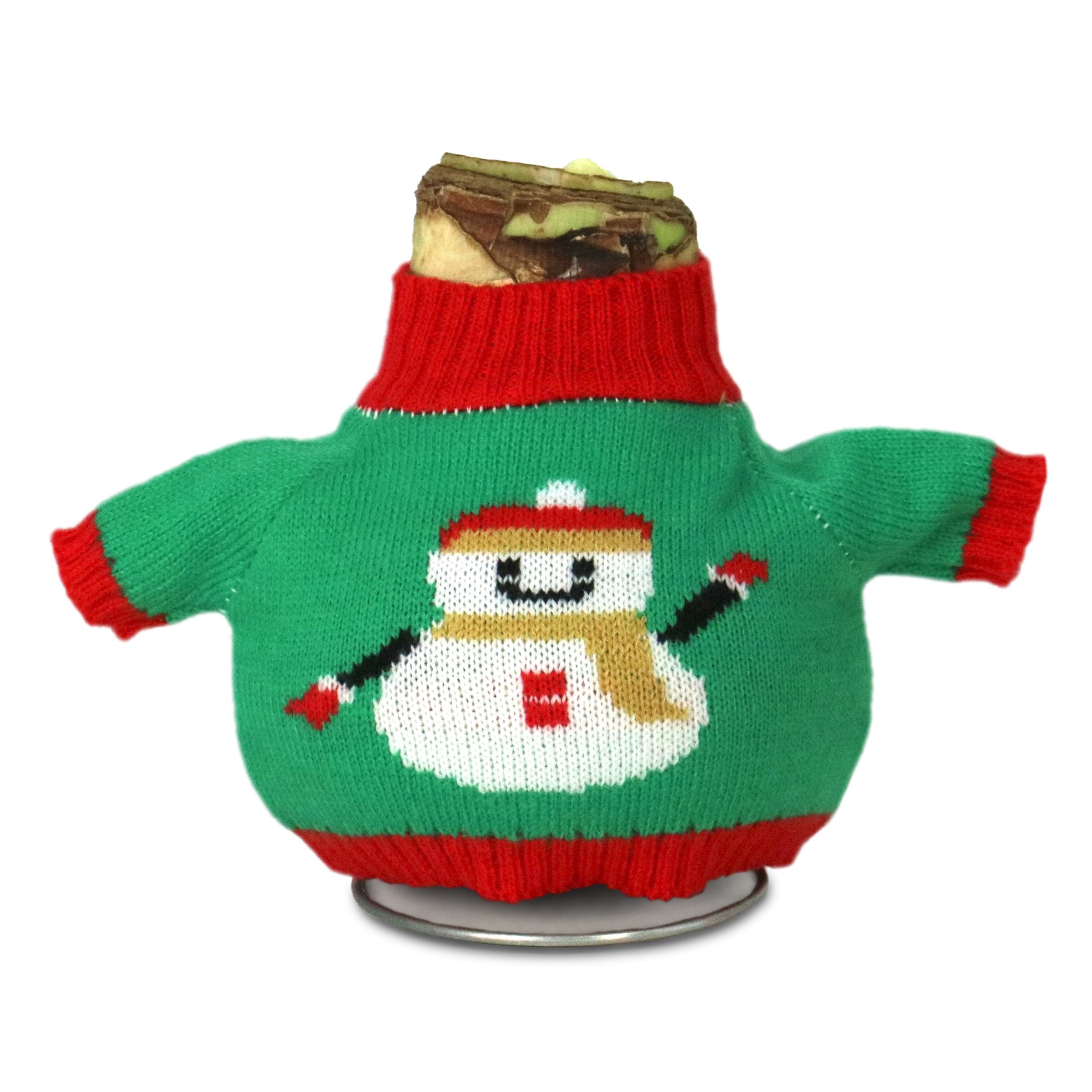 1-Piece Waxed Amaryllis w/Snowman Sweater