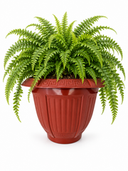 6 Piece – Terracotta Red Greek Key Planter, 9” x 7” (NOVEMBER PICK UP SALE)