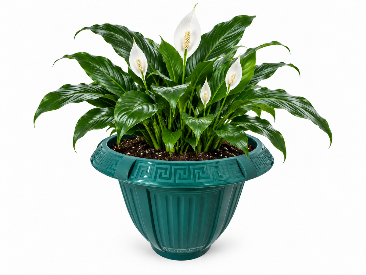 6 Piece - Deep Teal Green Greek Key Planter, 9” x 7” (NOVEMBER PICK UP SALE)