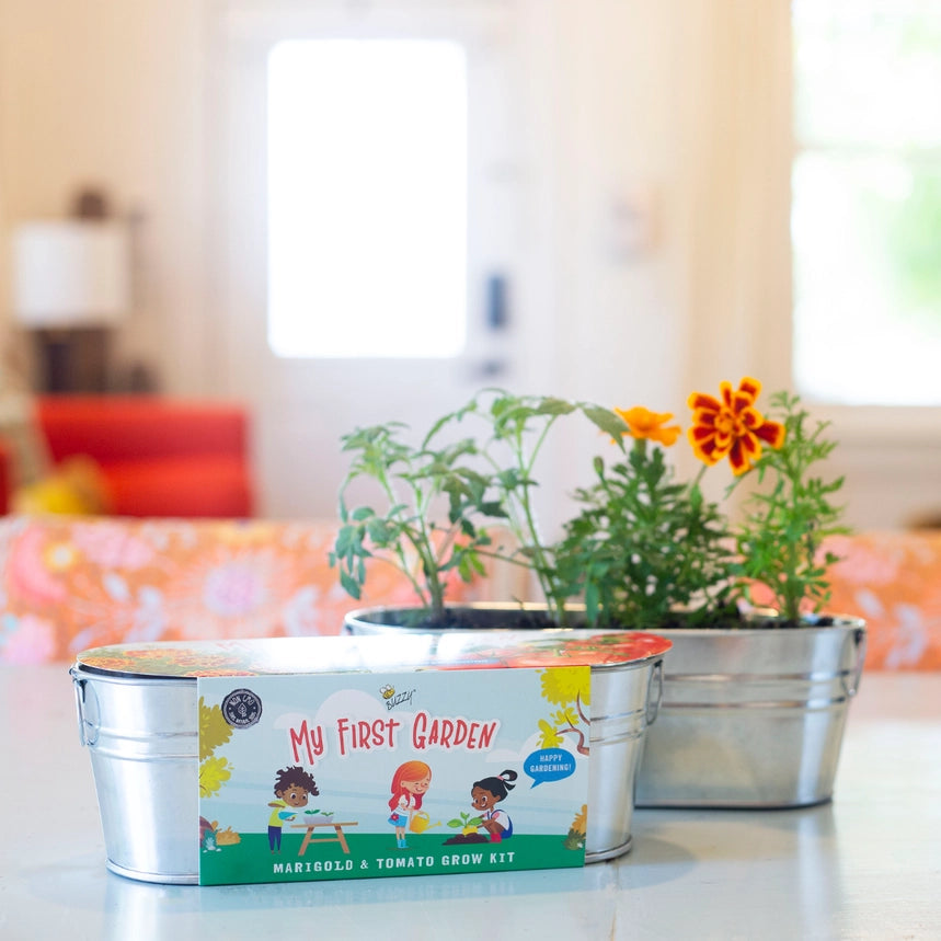My First Garden, Marigold and Tomato - 10 oz