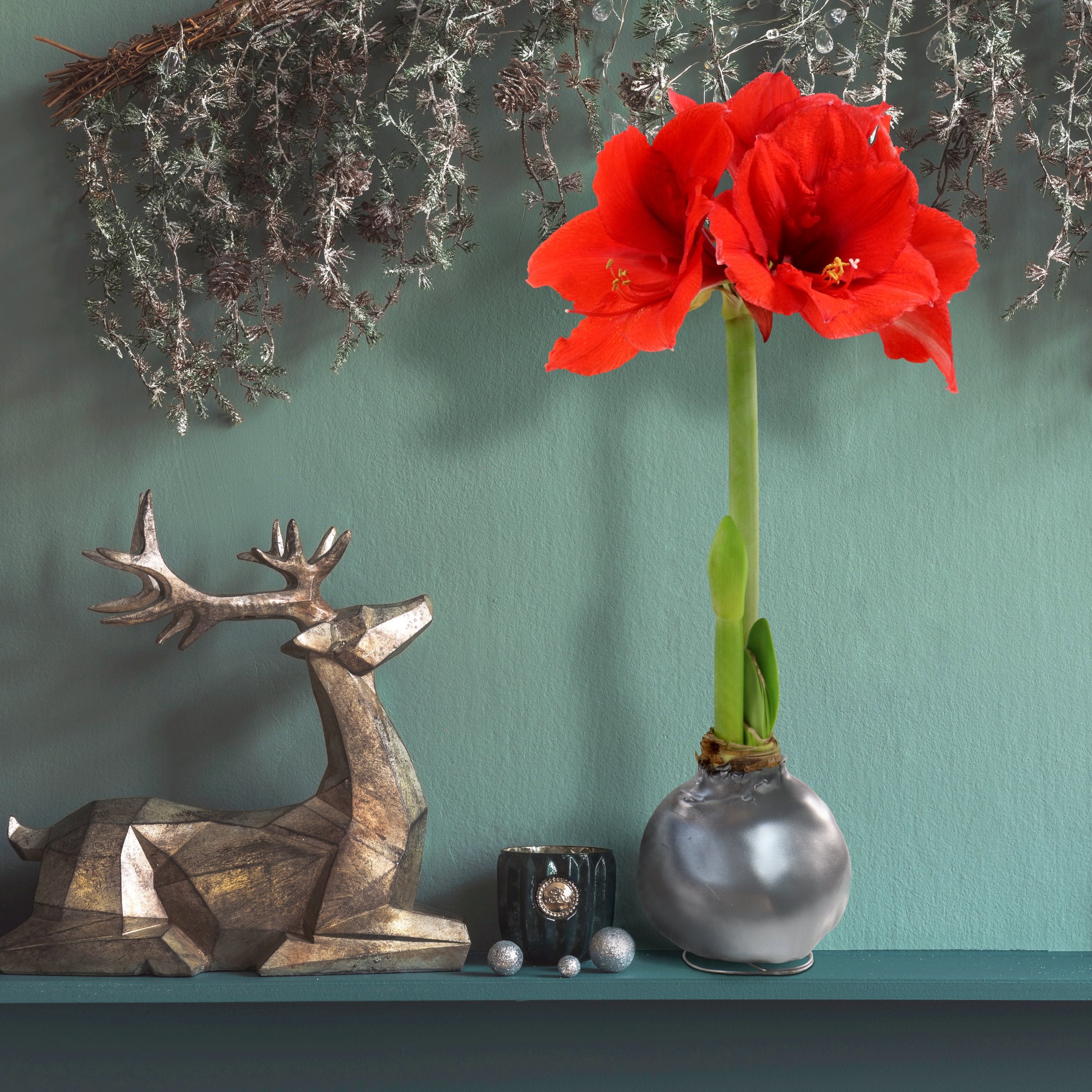 Cottage Farms Direct