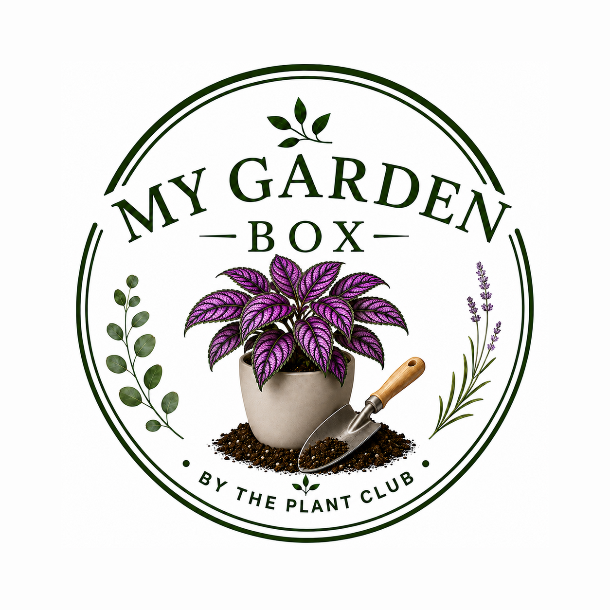 My Garden Box, Original DIY Box - Delivered Monthly, FREE SHIPPING!