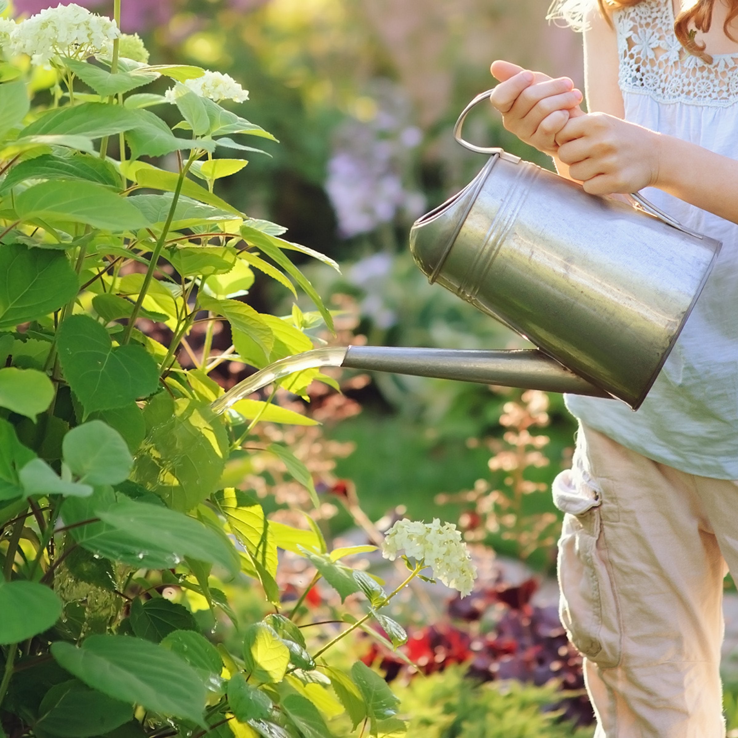 NPK+™ Fertilizer Pods for Acid-Loving Plants