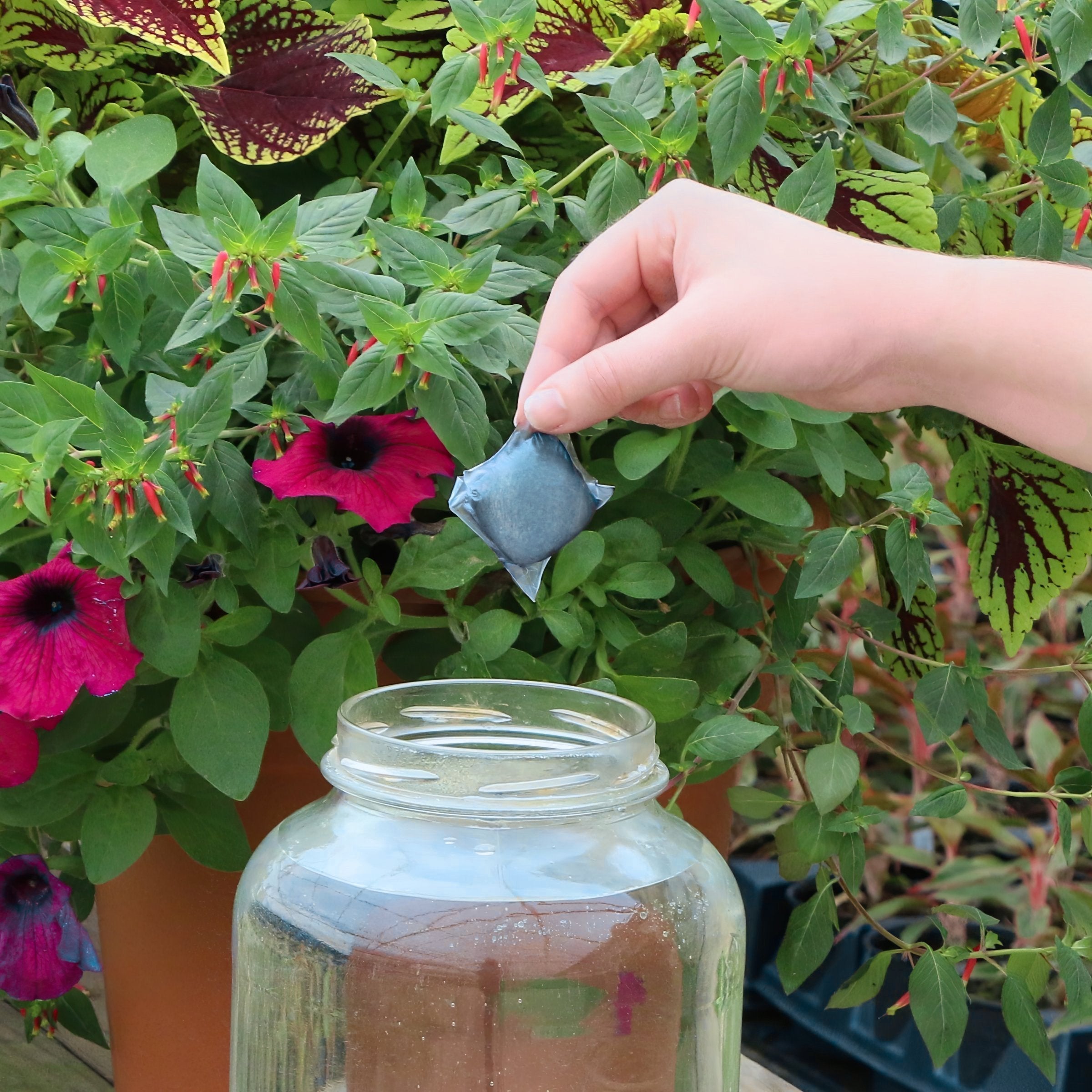 NPK+™ Fertilizer Pods for Roses