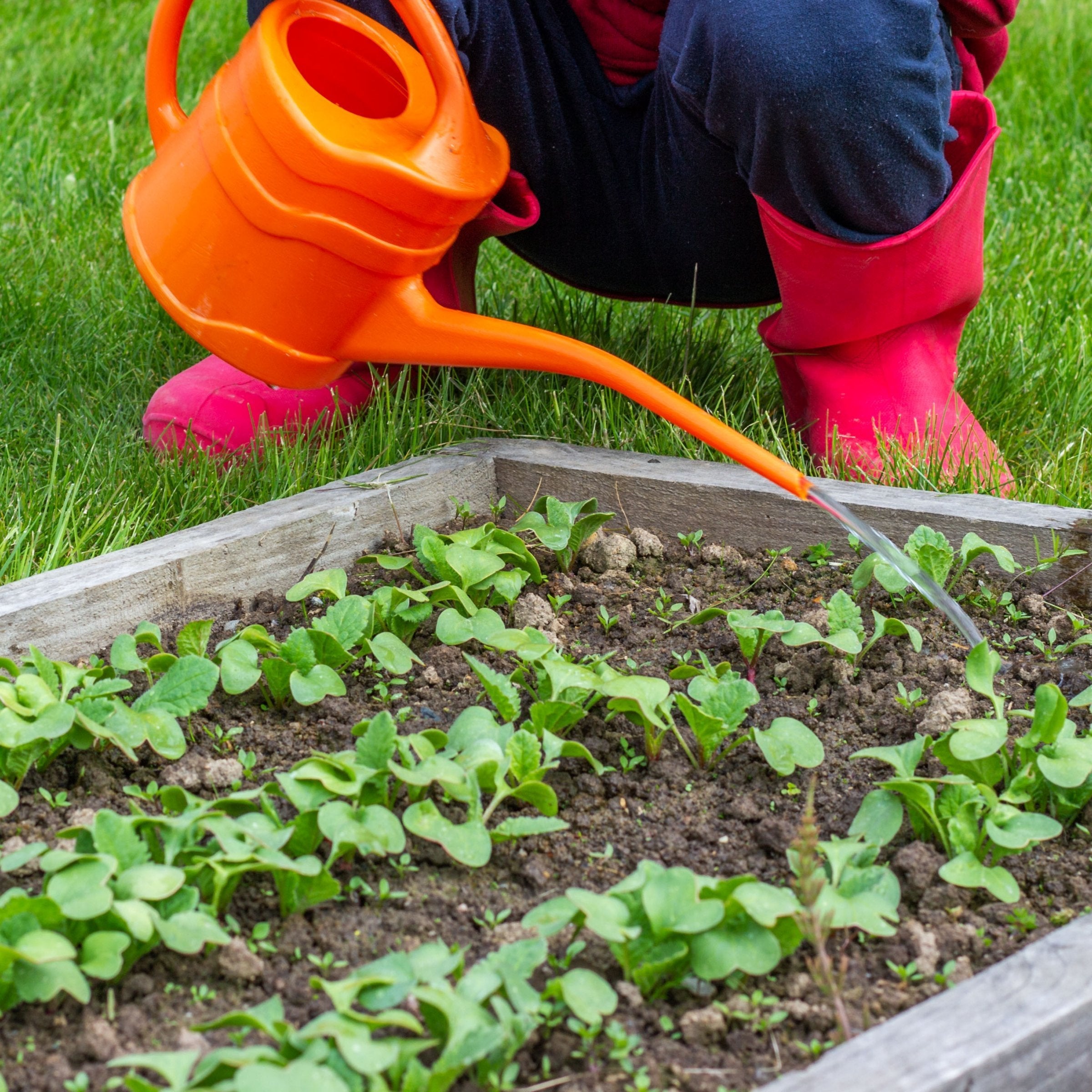 NPK+™ Fertilizer Pods for Fruits & Vegetables