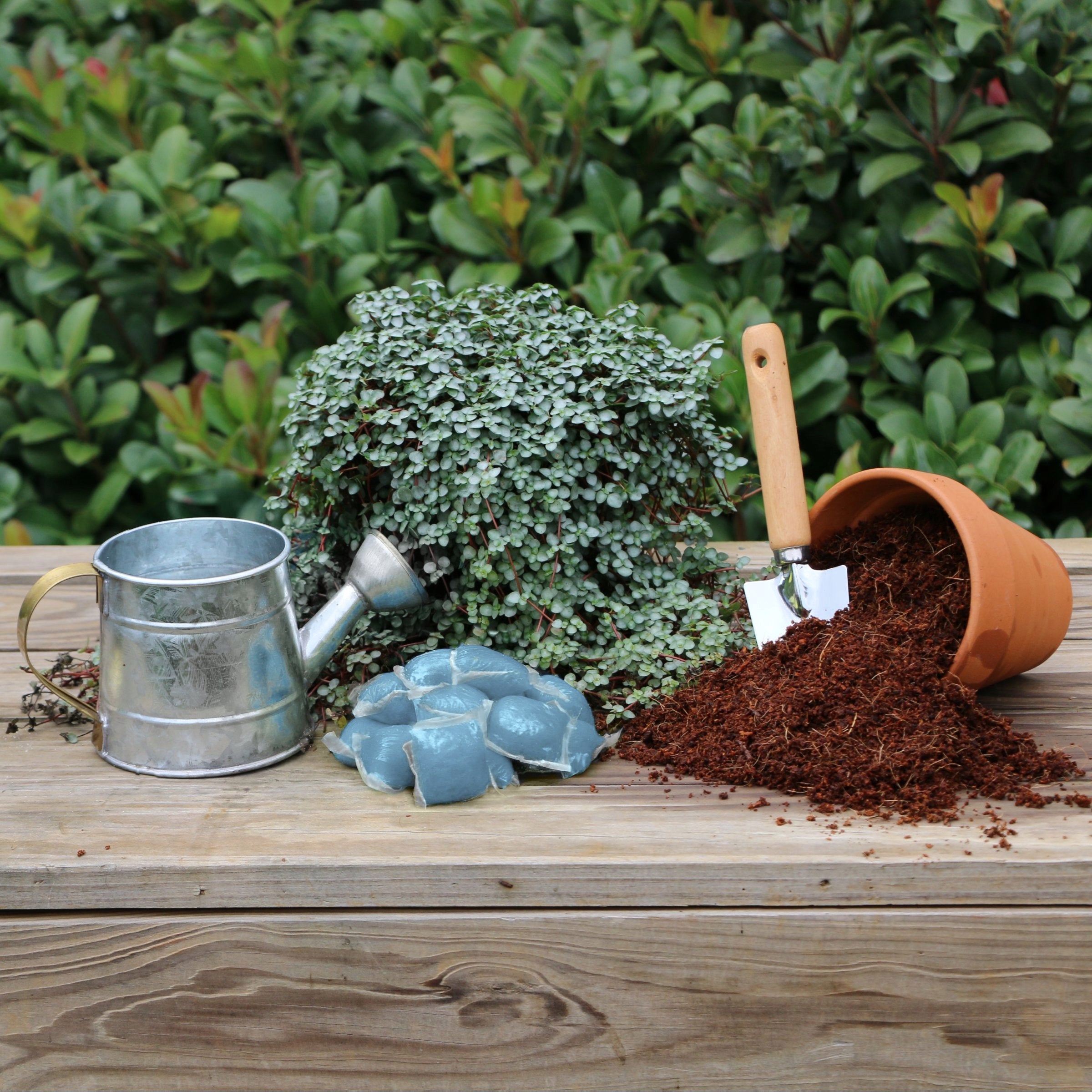 NPK+™ Fertilizer Pods for Roses