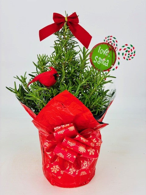 Cottage Farms Direct