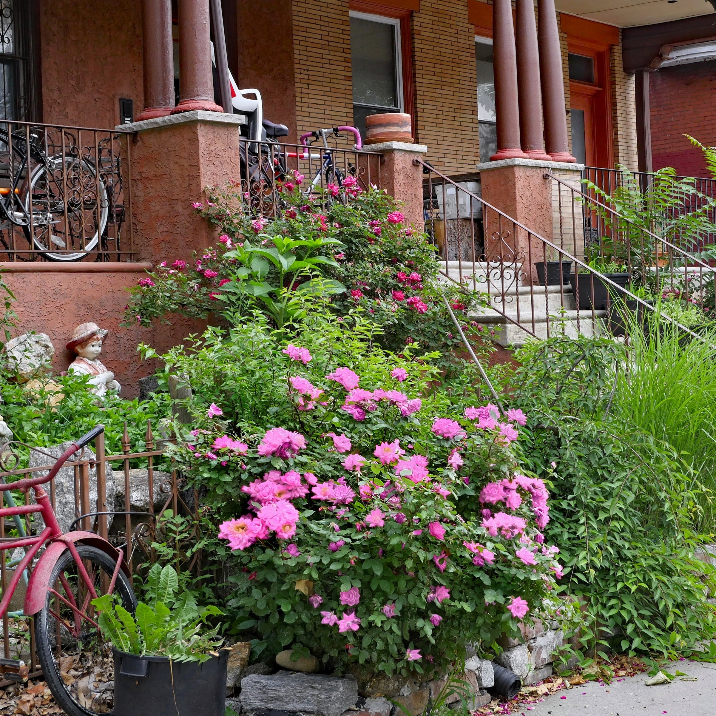 Cottage Farms Direct