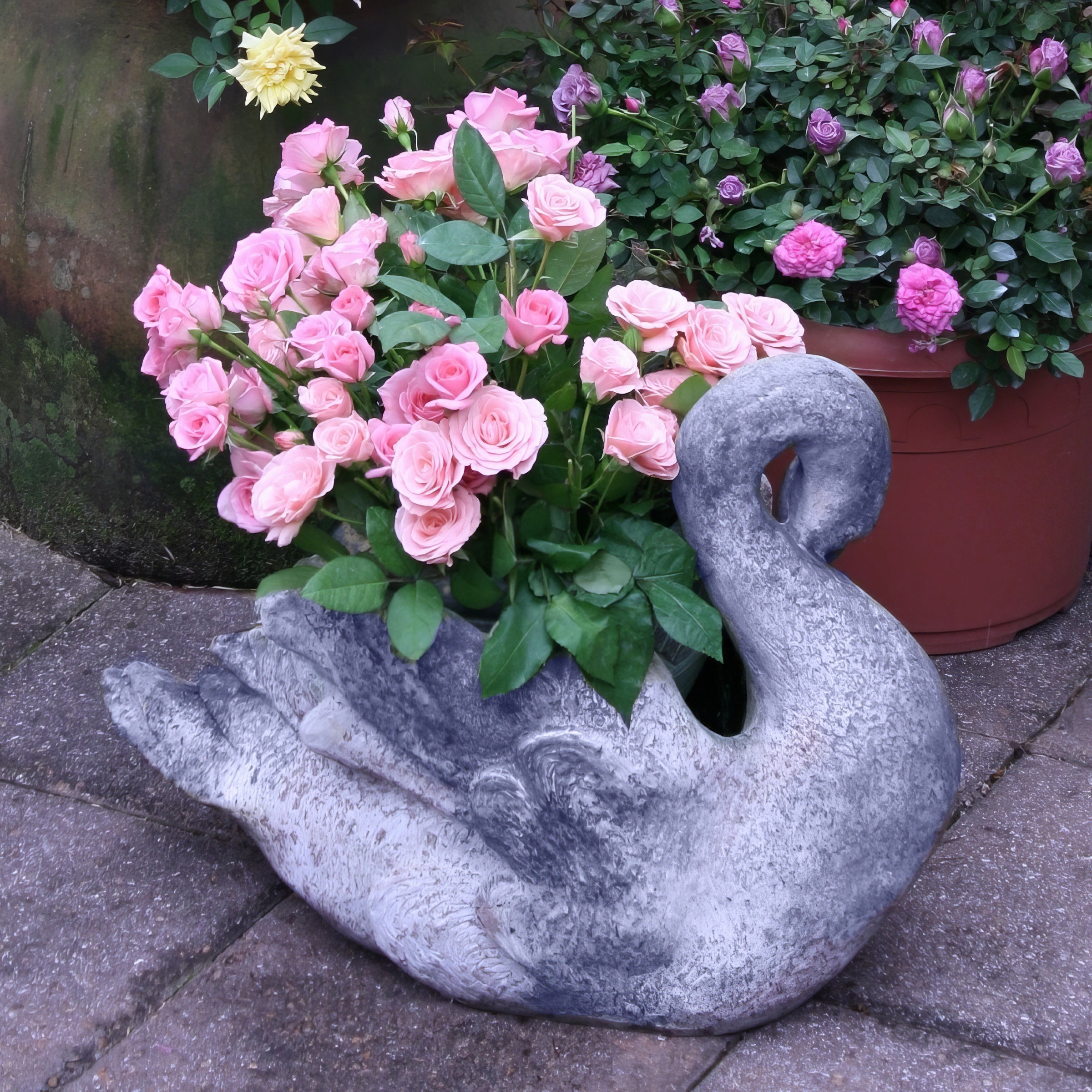 Cottage Farms Direct