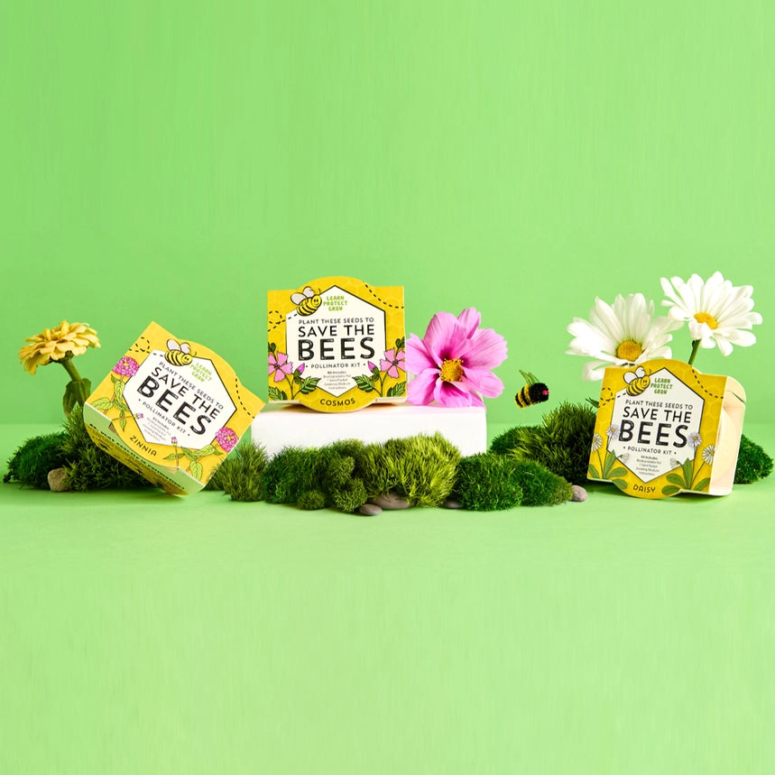 Save The Bees, Butterflies and Hummingbirds - 3 Piece Pollinator Kit