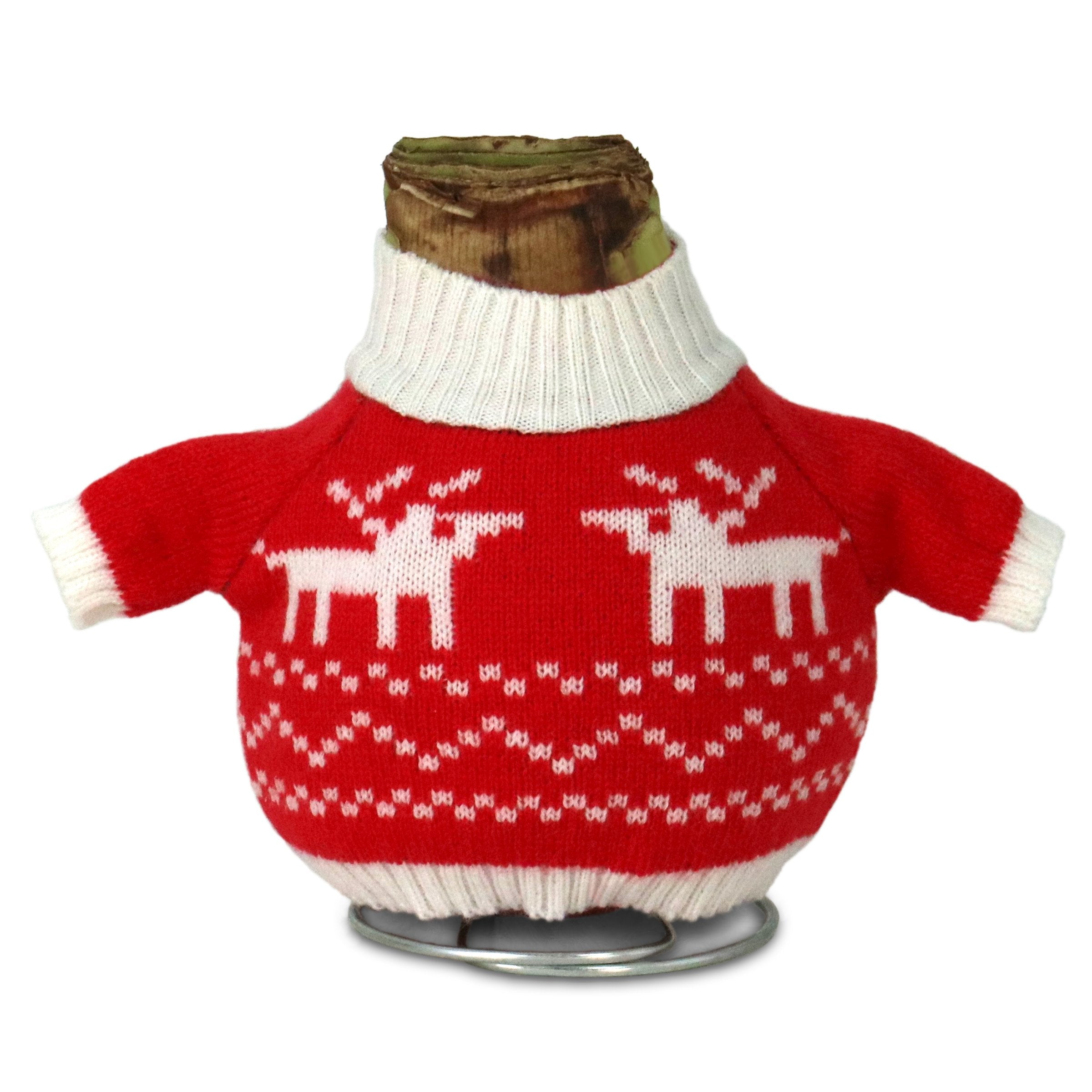 Cottage Farms Direct