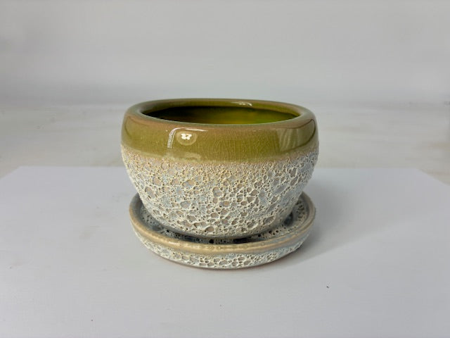 Cottage Farms Direct