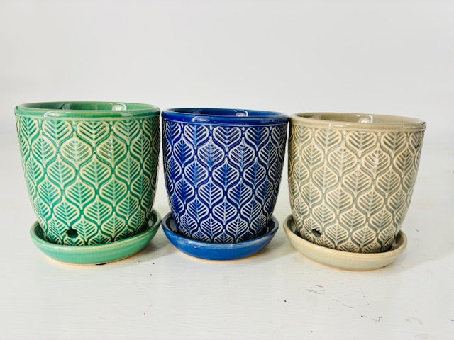 Cottage Farms Direct