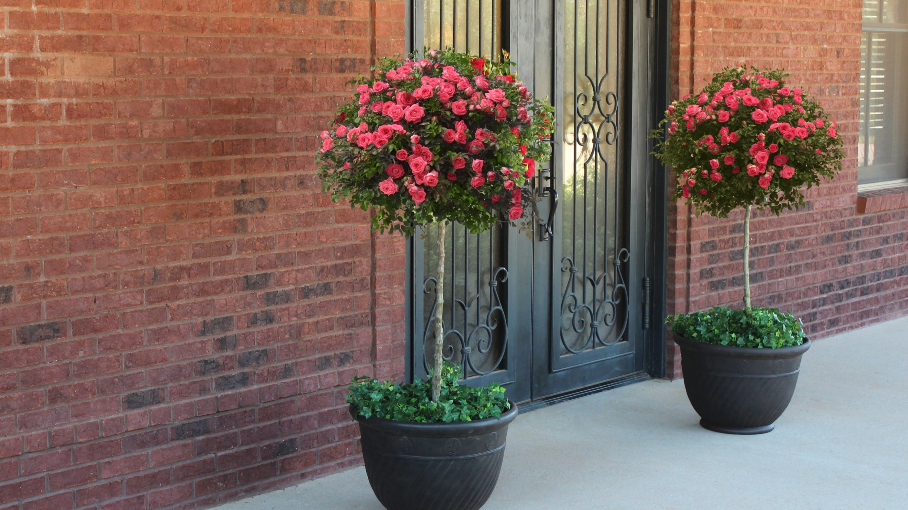 Cottage Farms Direct